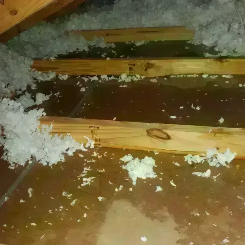 Attic Water Damage in Wilson, NC