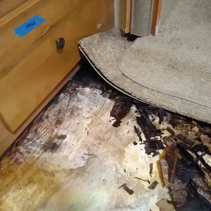 Wood Floor Water Damage in Wilson, NC